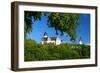 Germany, Saxony, Lunzenau, Rochsburg Castle-Andreas Vitting-Framed Photographic Print