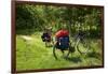 Germany, Saxony, Oder-Neisse Cycle Route, Cultural Island Einsiedel, Two Bicycles with Saddle-Bags-Catharina Lux-Framed Photographic Print