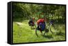 Germany, Saxony, Oder-Neisse Cycle Route, Cultural Island Einsiedel, Two Bicycles with Saddle-Bags-Catharina Lux-Framed Stretched Canvas