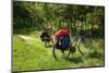 Germany, Saxony, Oder-Neisse Cycle Route, Cultural Island Einsiedel, Two Bicycles with Saddle-Bags-Catharina Lux-Mounted Photographic Print