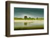 Germany, Schleswig-Holstein, Amrum, Sandy Beach, Sand Bank, Kniepsand-Ingo Boelter-Framed Photographic Print