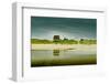 Germany, Schleswig-Holstein, Amrum, Sandy Beach, Sand Bank, Kniepsand-Ingo Boelter-Framed Photographic Print