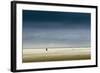 Germany, Schleswig-Holstein, Amrum, Sandy Beach, Sandbank, Kniepsand, Stroller-Ingo Boelter-Framed Photographic Print