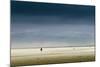 Germany, Schleswig-Holstein, Amrum, Sandy Beach, Sandbank, Kniepsand, Stroller-Ingo Boelter-Mounted Photographic Print