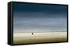 Germany, Schleswig-Holstein, Amrum, Sandy Beach, Sandbank, Kniepsand, Stroller-Ingo Boelter-Framed Stretched Canvas