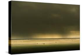 Germany, Schleswig-Holstein, Amrum, Sandy Beach, Sandbank, Stormy Atmosphere-Ingo Boelter-Stretched Canvas