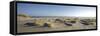 Germany, Schleswig - Holstein, island of Sylt, dunes on the beach of List-Alexander Voss-Framed Stretched Canvas