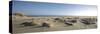 Germany, Schleswig - Holstein, island of Sylt, dunes on the beach of List-Alexander Voss-Stretched Canvas