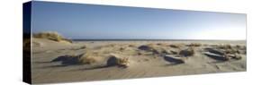 Germany, Schleswig - Holstein, island of Sylt, dunes on the beach of List-Alexander Voss-Stretched Canvas