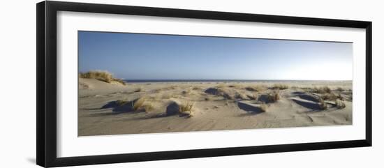 Germany, Schleswig - Holstein, island of Sylt, dunes on the beach of List-Alexander Voss-Framed Photographic Print