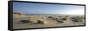 Germany, Schleswig - Holstein, island of Sylt, dunes on the beach of List-Alexander Voss-Framed Stretched Canvas