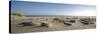 Germany, Schleswig - Holstein, island of Sylt, dunes on the beach of List-Alexander Voss-Stretched Canvas