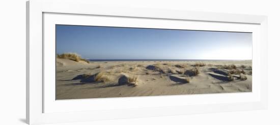 Germany, Schleswig - Holstein, island of Sylt, dunes on the beach of List-Alexander Voss-Framed Photographic Print