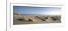 Germany, Schleswig - Holstein, island of Sylt, dunes on the beach of List-Alexander Voss-Framed Photographic Print