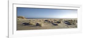 Germany, Schleswig - Holstein, island of Sylt, dunes on the beach of List-Alexander Voss-Framed Photographic Print