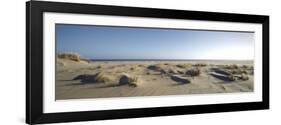 Germany, Schleswig - Holstein, island of Sylt, dunes on the beach of List-Alexander Voss-Framed Photographic Print