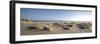 Germany, Schleswig - Holstein, island of Sylt, dunes on the beach of List-Alexander Voss-Framed Premium Photographic Print