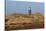 Germany, Schleswig - Holstein, island of Sylt, Kampen-Alexander Voss-Stretched Canvas