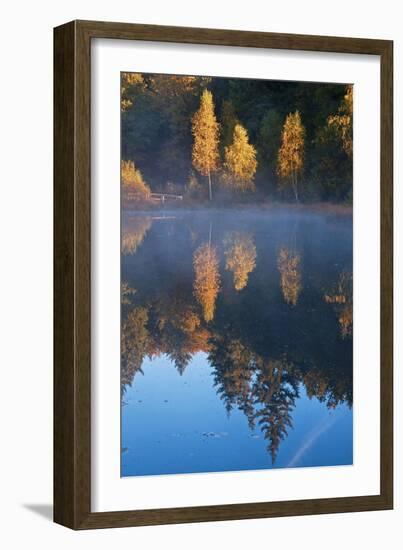 Germany, Schleswig-Holstein, Lauenburg Lakes Nature Park, Grundloser Kolk-Thomas Ebelt-Framed Photographic Print