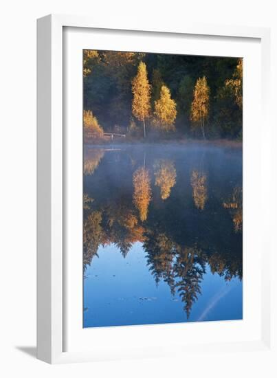 Germany, Schleswig-Holstein, Lauenburg Lakes Nature Park, Grundloser Kolk-Thomas Ebelt-Framed Photographic Print