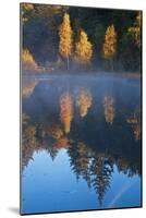 Germany, Schleswig-Holstein, Lauenburg Lakes Nature Park, Grundloser Kolk-Thomas Ebelt-Mounted Photographic Print