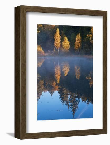 Germany, Schleswig-Holstein, Lauenburg Lakes Nature Park, Grundloser Kolk-Thomas Ebelt-Framed Photographic Print