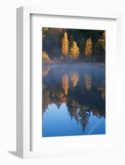 Germany, Schleswig-Holstein, Lauenburg Lakes Nature Park, Grundloser Kolk-Thomas Ebelt-Framed Photographic Print