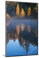 Germany, Schleswig-Holstein, Lauenburg Lakes Nature Park, Grundloser Kolk-Thomas Ebelt-Mounted Photographic Print