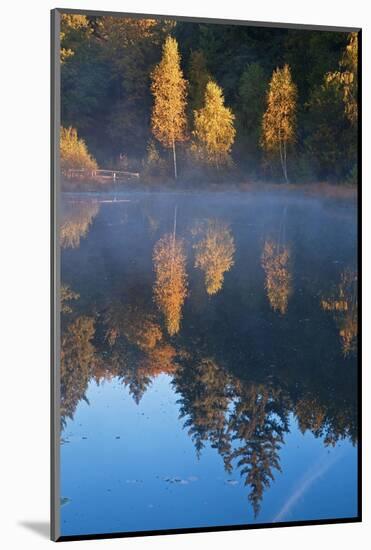 Germany, Schleswig-Holstein, Lauenburg Lakes Nature Park, Grundloser Kolk-Thomas Ebelt-Mounted Photographic Print