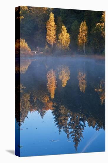 Germany, Schleswig-Holstein, Lauenburg Lakes Nature Park, Grundloser Kolk-Thomas Ebelt-Stretched Canvas