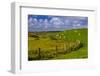 Germany, Schleswig-Holstein, North Frisia, 'Husumer Bucht' (Bay), Husum, Dockkoog, Dyke, Sheeps-Udo Siebig-Framed Photographic Print