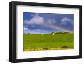 Germany, Schleswig-Holstein, North Frisia, 'Husumer Bucht' (Bay), Husum-Udo Siebig-Framed Photographic Print