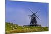 Germany, Schleswig-Holstein, North Frisia, Island of Pellworm, NordermŸhle-Udo Siebig-Mounted Photographic Print