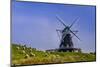 Germany, Schleswig-Holstein, North Frisia, Island of Pellworm, NordermŸhle-Udo Siebig-Mounted Photographic Print