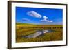 Germany, Schleswig-Holstein, North Frisia, North Frisian Marsh, Ockholm-Udo Siebig-Framed Photographic Print