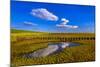 Germany, Schleswig-Holstein, North Frisia, North Frisian Marsh, Ockholm-Udo Siebig-Mounted Photographic Print