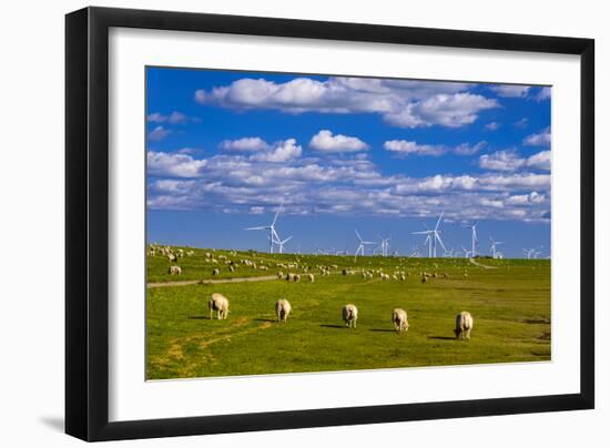 Germany, Schleswig-Holstein, North Frisia, North Frisian Marsh, Reu§enkšge-Udo Siebig-Framed Photographic Print