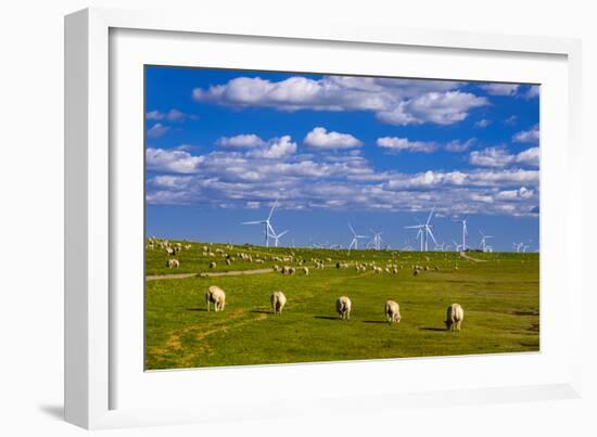 Germany, Schleswig-Holstein, North Frisia, North Frisian Marsh, Reu§enkšge-Udo Siebig-Framed Photographic Print