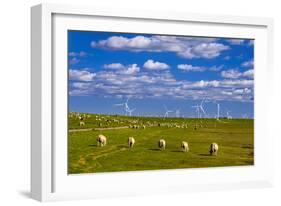 Germany, Schleswig-Holstein, North Frisia, North Frisian Marsh, Reu§enkšge-Udo Siebig-Framed Photographic Print