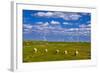 Germany, Schleswig-Holstein, North Frisia, North Frisian Marsh, Reu§enkšge-Udo Siebig-Framed Photographic Print