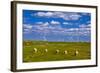 Germany, Schleswig-Holstein, North Frisia, North Frisian Marsh, Reu§enkšge-Udo Siebig-Framed Photographic Print