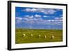 Germany, Schleswig-Holstein, North Frisia, North Frisian Marsh, Reu§enkšge-Udo Siebig-Framed Photographic Print