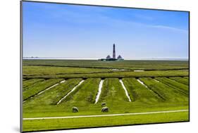 Germany, Schleswig-Holstein, North Frisia, Peninsula Eider (River)Stedt, Westerhever-Udo Siebig-Mounted Photographic Print