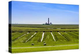 Germany, Schleswig-Holstein, North Frisia, Peninsula Eider (River)Stedt, Westerhever-Udo Siebig-Stretched Canvas