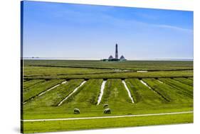 Germany, Schleswig-Holstein, North Frisia, Peninsula Eider (River)Stedt, Westerhever-Udo Siebig-Stretched Canvas