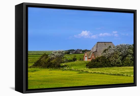 Germany, Schleswig-Holstein, North Frisia, Peninsula Eider (River)Stedt, Westerhever-Udo Siebig-Framed Stretched Canvas