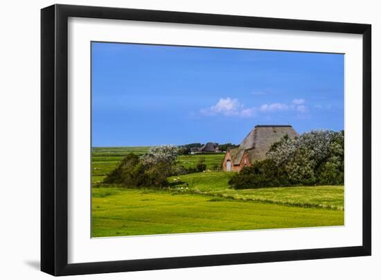 Germany, Schleswig-Holstein, North Frisia, Peninsula Eider (River)Stedt, Westerhever-Udo Siebig-Framed Photographic Print