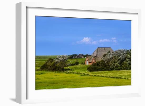 Germany, Schleswig-Holstein, North Frisia, Peninsula Eider (River)Stedt, Westerhever-Udo Siebig-Framed Photographic Print