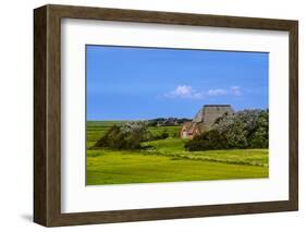 Germany, Schleswig-Holstein, North Frisia, Peninsula Eider (River)Stedt, Westerhever-Udo Siebig-Framed Photographic Print