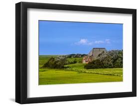 Germany, Schleswig-Holstein, North Frisia, Peninsula Eider (River)Stedt, Westerhever-Udo Siebig-Framed Photographic Print